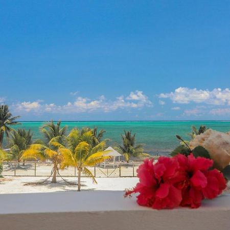 Treetops Hotel Caye Caulker Exteriör bild