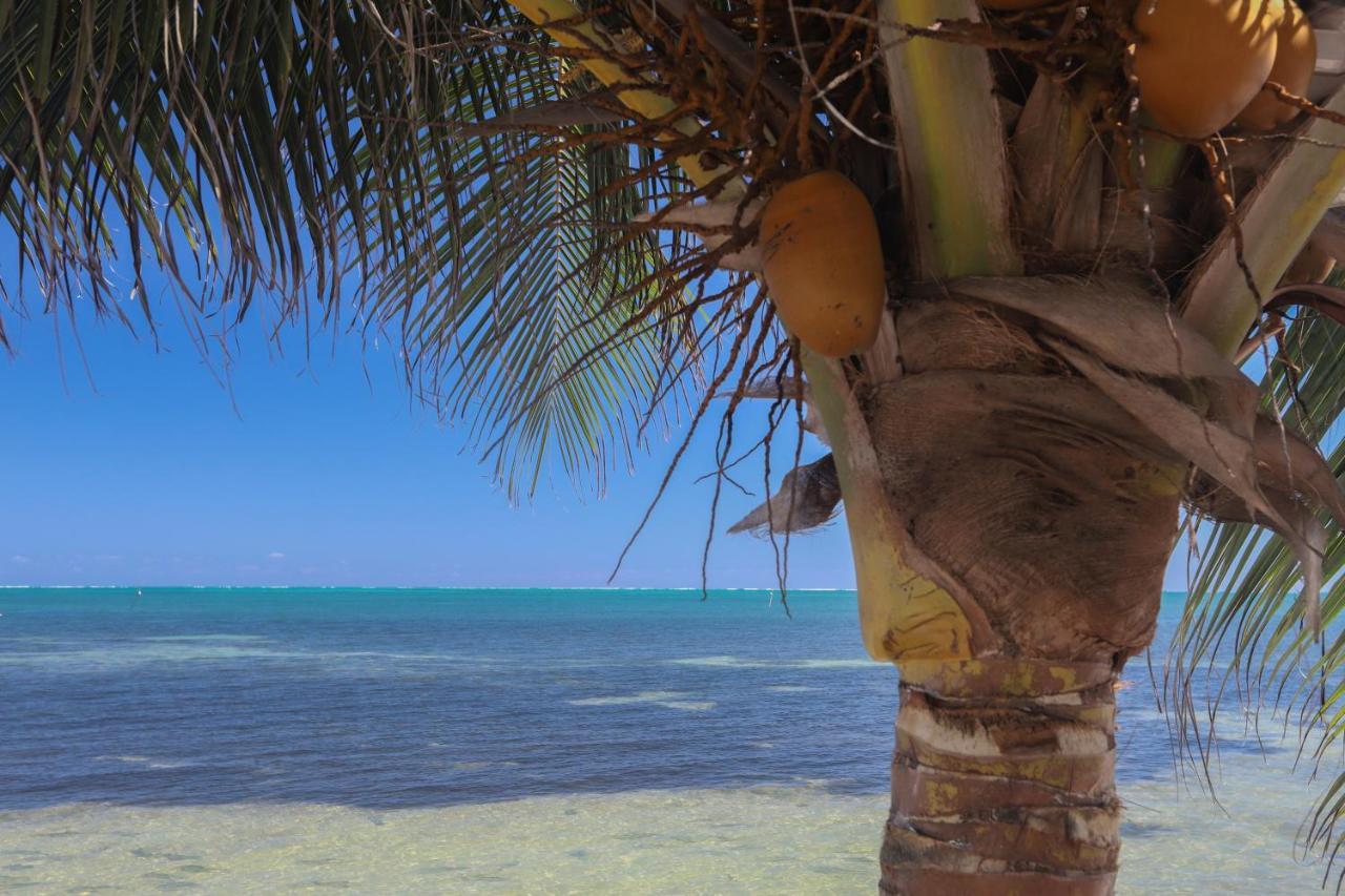 Treetops Hotel Caye Caulker Exteriör bild