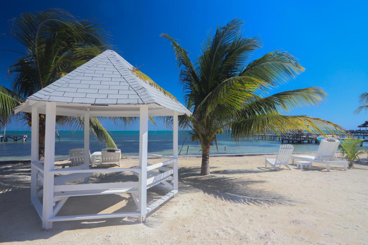 Treetops Hotel Caye Caulker Exteriör bild